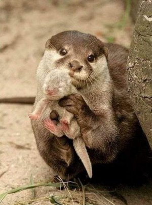 motherslove031222.jpg