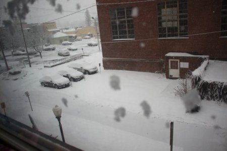 snow_day.JPG