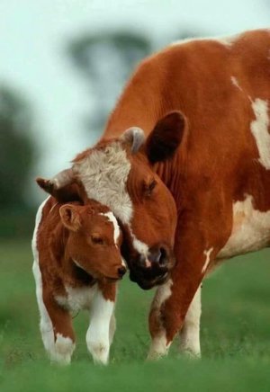 motherslove031322.jpg