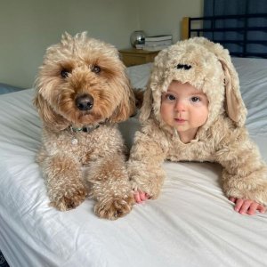 fuzzies.jpg