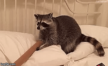 3hznnk.gif