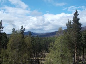 braemar may16.jpg braemar may16.jpg