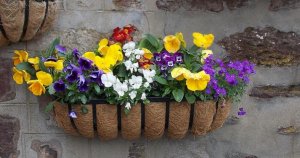 flower basket.jpg