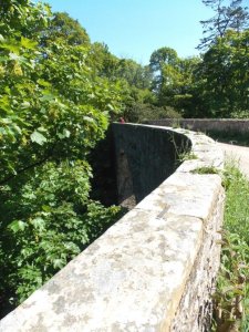 alvah 1.jpg alvah 1.jpg