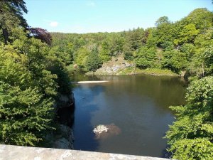 alvah2.jpg alvah2.jpg