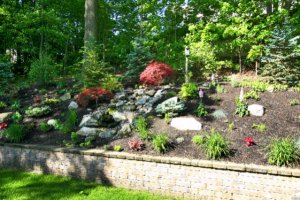 IMG_3955.jpg IMG_3955.jpg