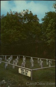 war dog cemetery.jpg