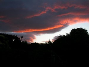 DSCN5507.jpg