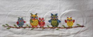 owls.jpg