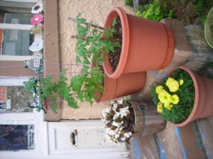 june pics 049.jpg