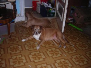 june pics 040.jpg