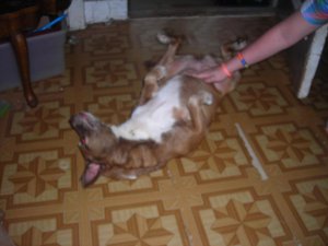 june pics 044.jpg