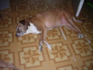 june pics 043.jpg