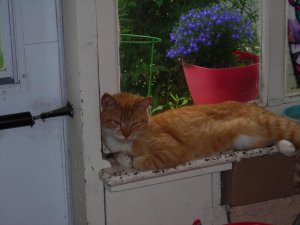 june pics 017.jpg