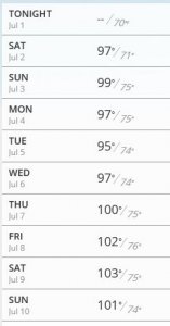 temps.jpg