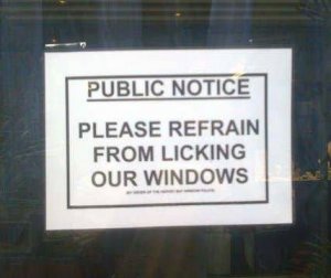windows.jpg