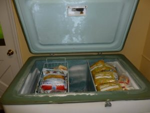 inside freezer.jpg