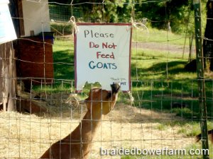 drama-eating-sign.jpg