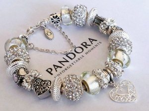 a charm bracelet.JPG