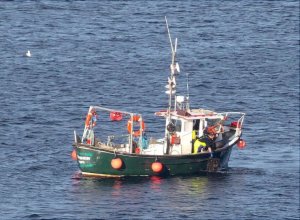 lobster boat.jpg