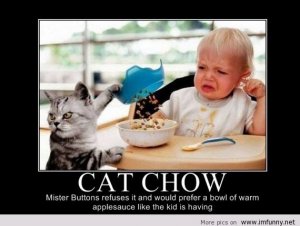 Funny-cat-chow.jpg