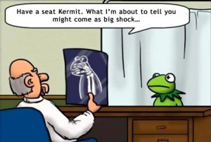 image.jpeg