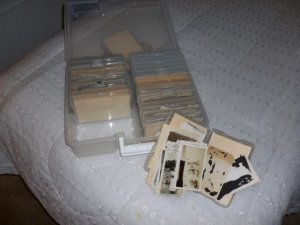 photo box.jpg