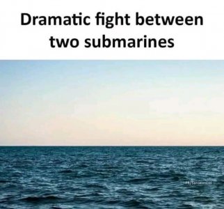 1647067738022.jpg