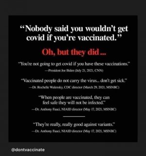 covid meme edit bottom.jpg