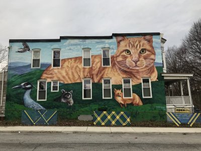 _Mr._Ed_the_Cat__mural_(2018;_Gaia,_muralist),_301_Wyman_Park_Drive,_Baltimore,_MD_21211_(4061...jpg