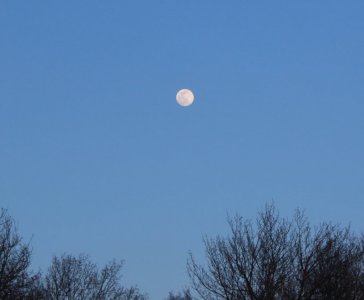 great moon tonight.jpg