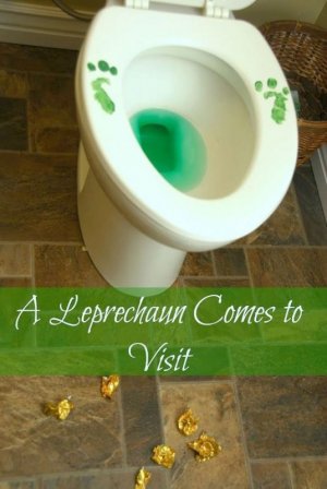 We Lure a Leprechaun and He Pees in the Toilet.jpeg