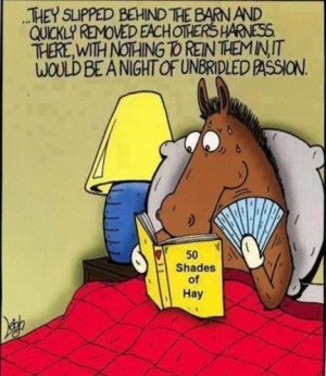 50 shades.jpg