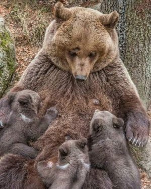 motherslove031822.jpg