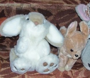 dolls1.jpg