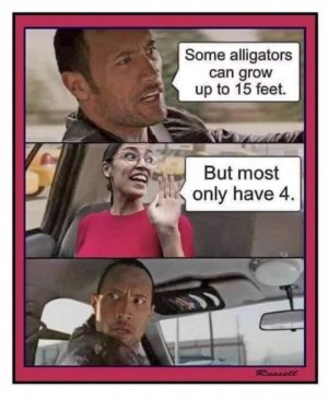 FB_IMG_1647640286018.jpg