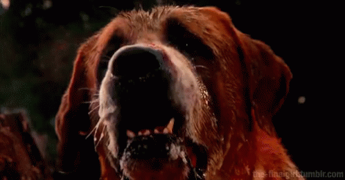 cujo-angry.gif