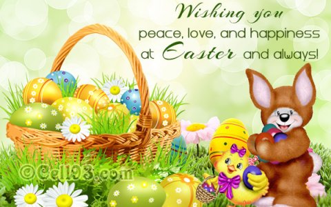 card4.jpg