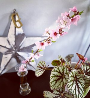 12FF4D93-0B0D-4008-869B-5557CF7103AB.jpeg