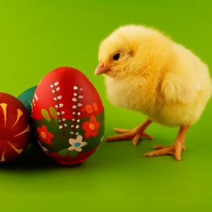 easter.jpg