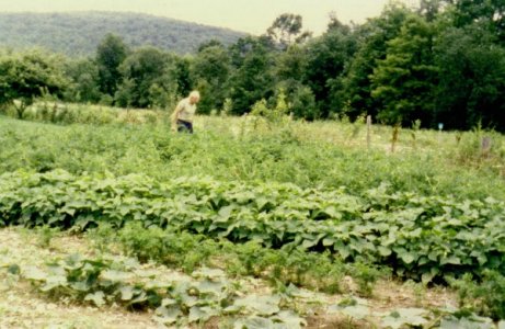 in_his_garden.jpg