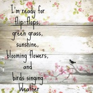 Absolutely! 1st weekend of sun and I go crazy in….jpeg