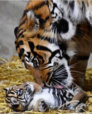 motherslove040722.jpg