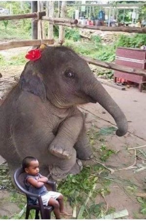 cutekids032022.jpg