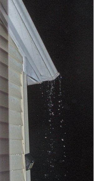 rain mar 19 22.jpg
