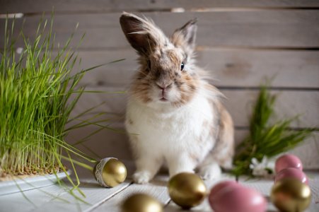 istockphoto-1300187996-170667a.jpg