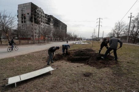 digging.jpg