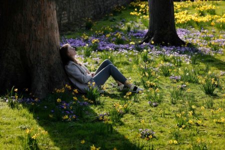 spring.jpg