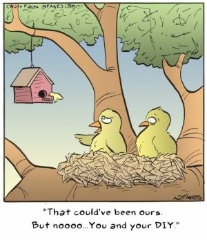 602509f92f608-Meet-the-humor-of-Nate-Fakes-the-illustrator-who-will-surely-brighten-your-day-6...jpg