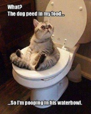 389f3b44d942025a3ccea1b3a5cce268[1].jpg